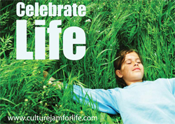 celebrate life